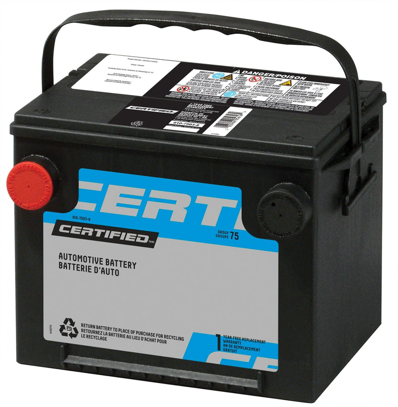 Pro-Series Commercial Group Size GC2 6-Volt Deep Cycle Battery, 235 Ah N2R5